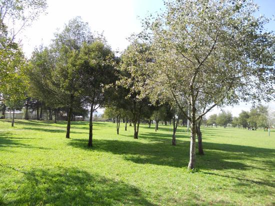 Parque Bicentenario